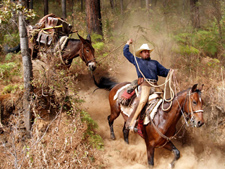 Mexico-Sierra Occidental-La Sierra Classic Cavalcade